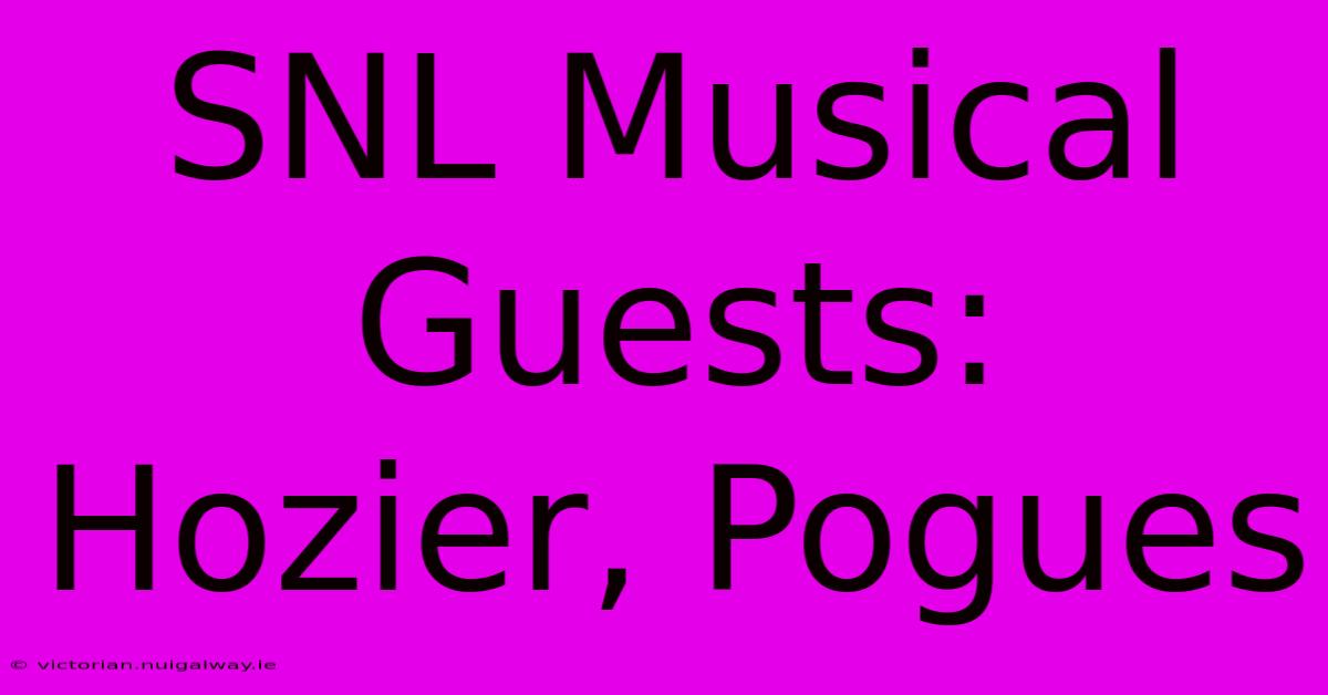 SNL Musical Guests: Hozier, Pogues