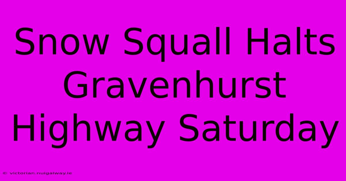 Snow Squall Halts Gravenhurst Highway Saturday