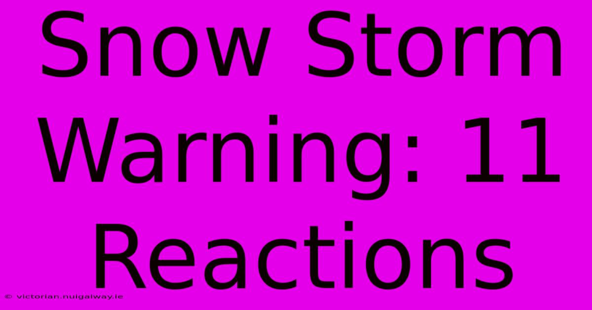 Snow Storm Warning: 11 Reactions