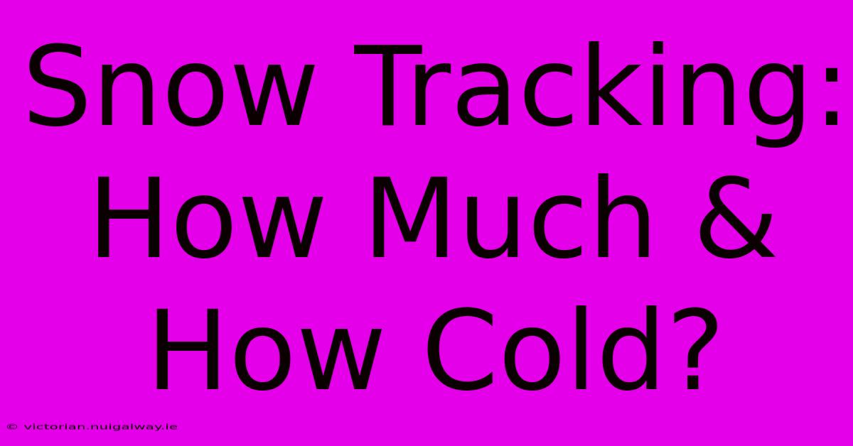 Snow Tracking: How Much & How Cold?