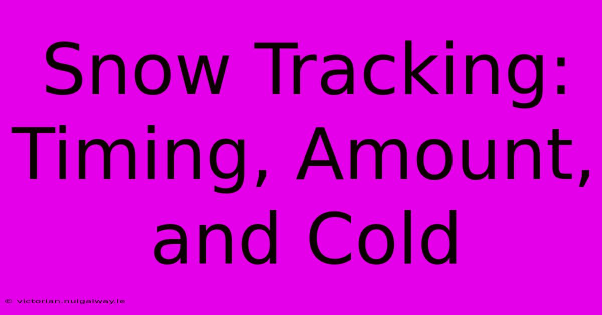 Snow Tracking: Timing, Amount, And Cold