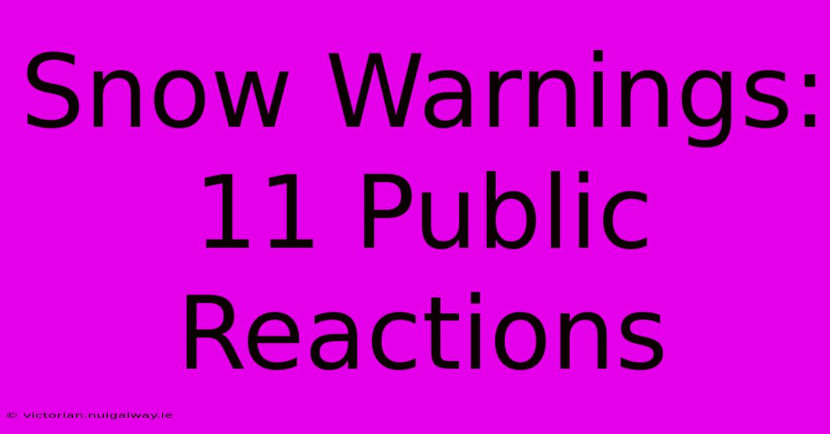 Snow Warnings: 11 Public Reactions