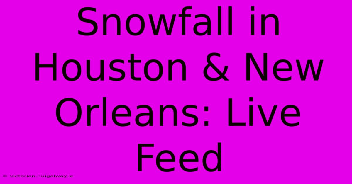 Snowfall In Houston & New Orleans: Live Feed