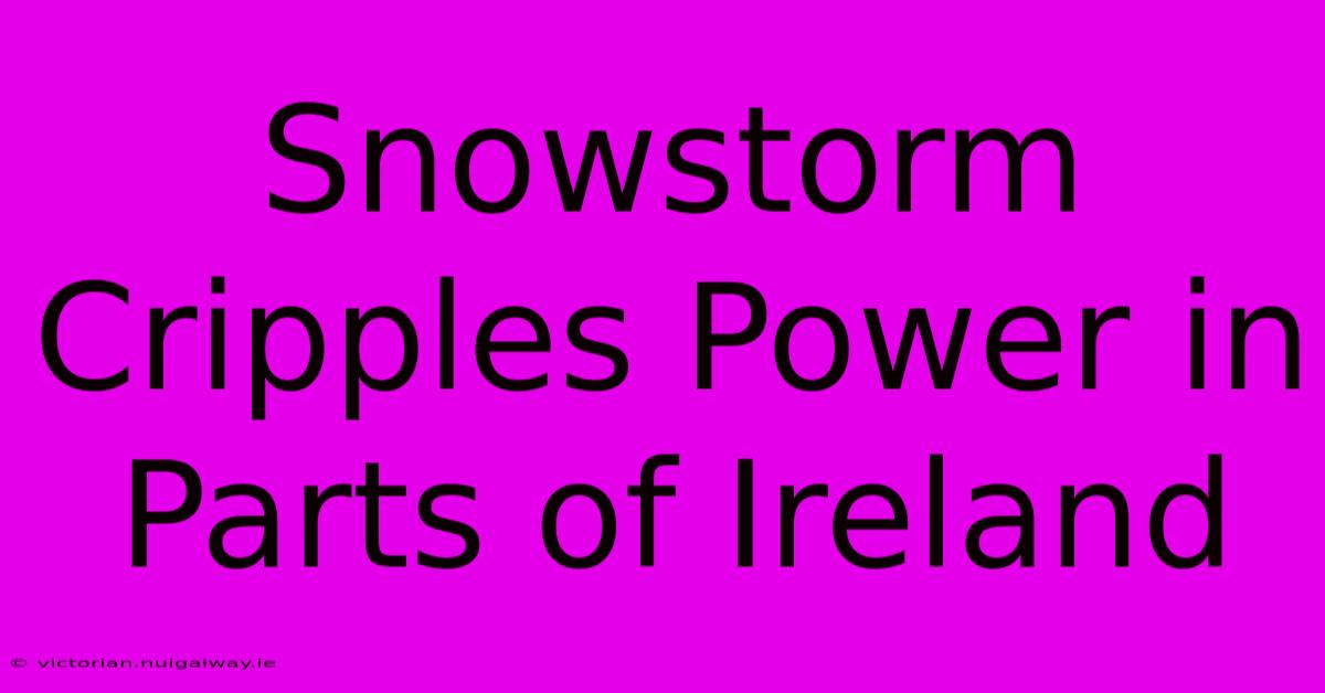 Snowstorm Cripples Power In Parts Of Ireland