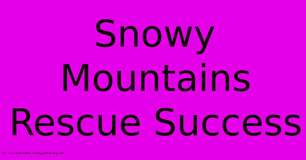 Snowy Mountains Rescue Success