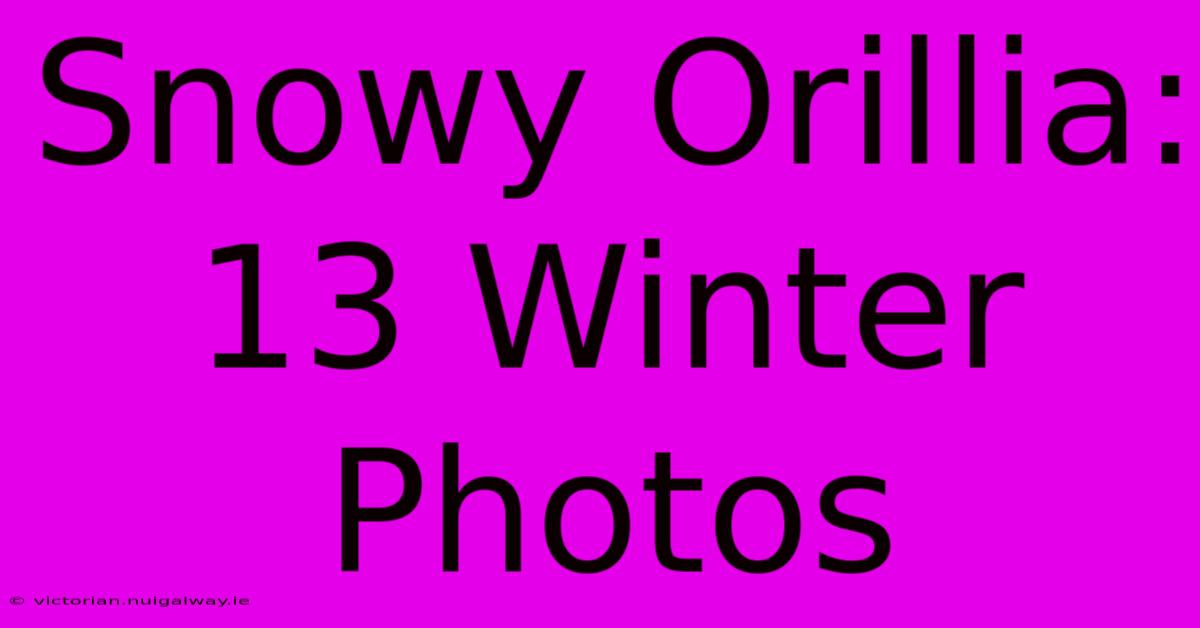 Snowy Orillia: 13 Winter Photos