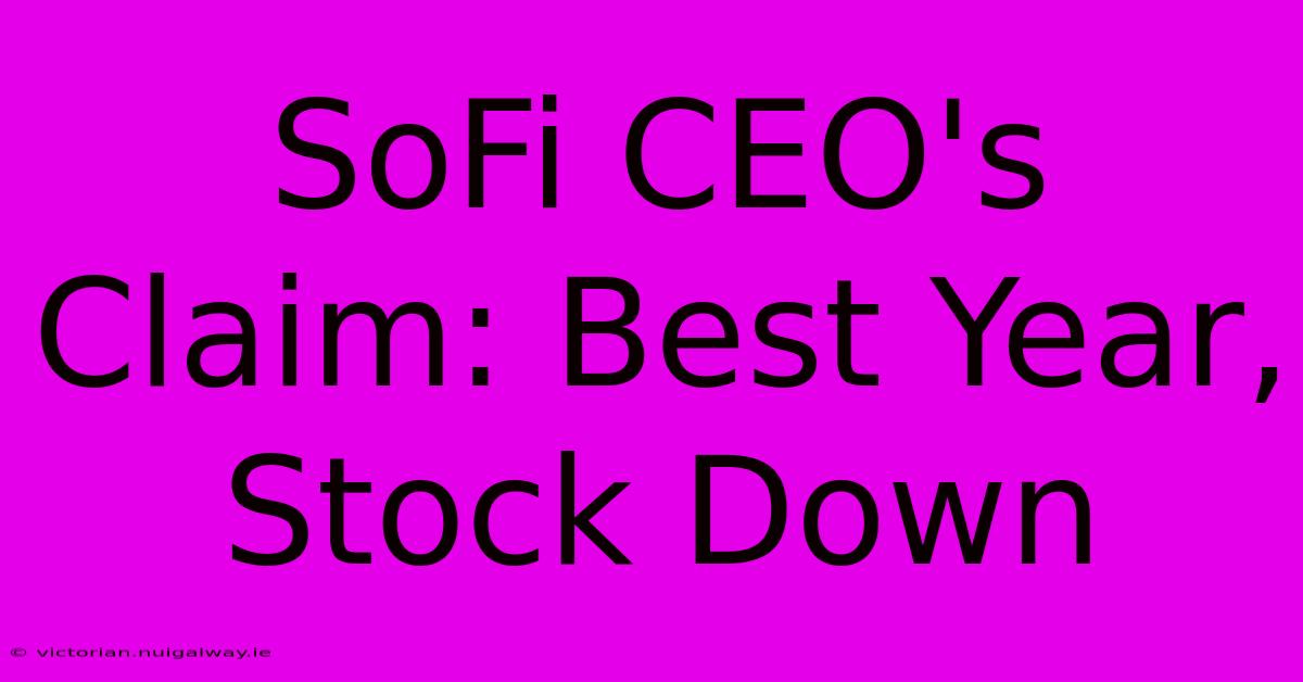 SoFi CEO's Claim: Best Year, Stock Down