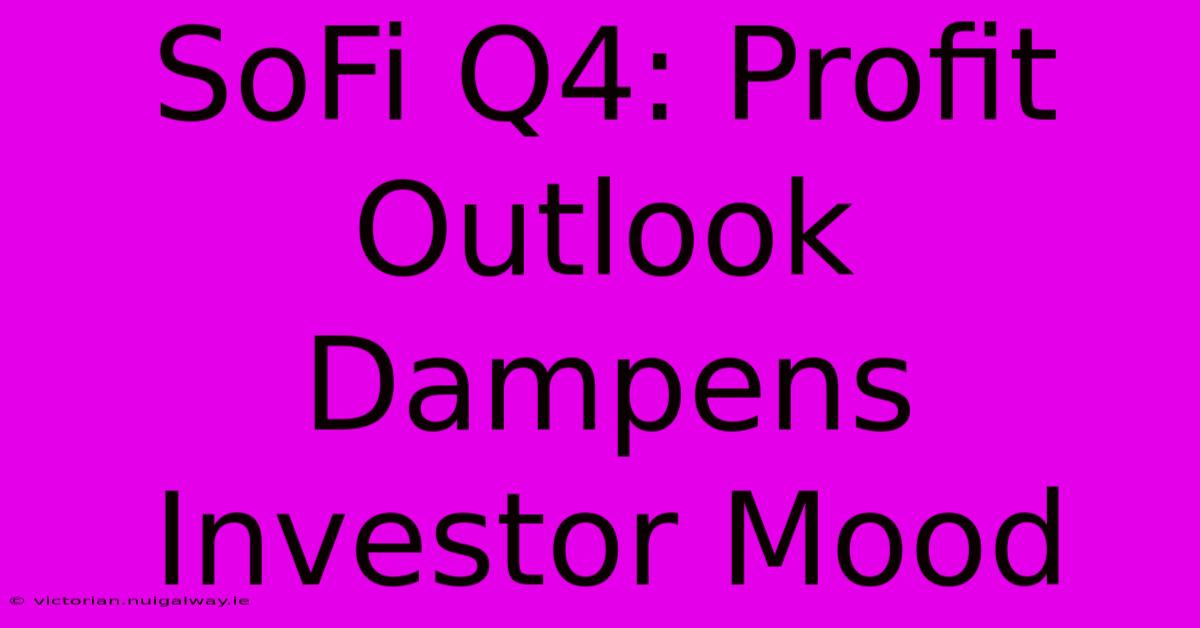 SoFi Q4: Profit Outlook Dampens Investor Mood