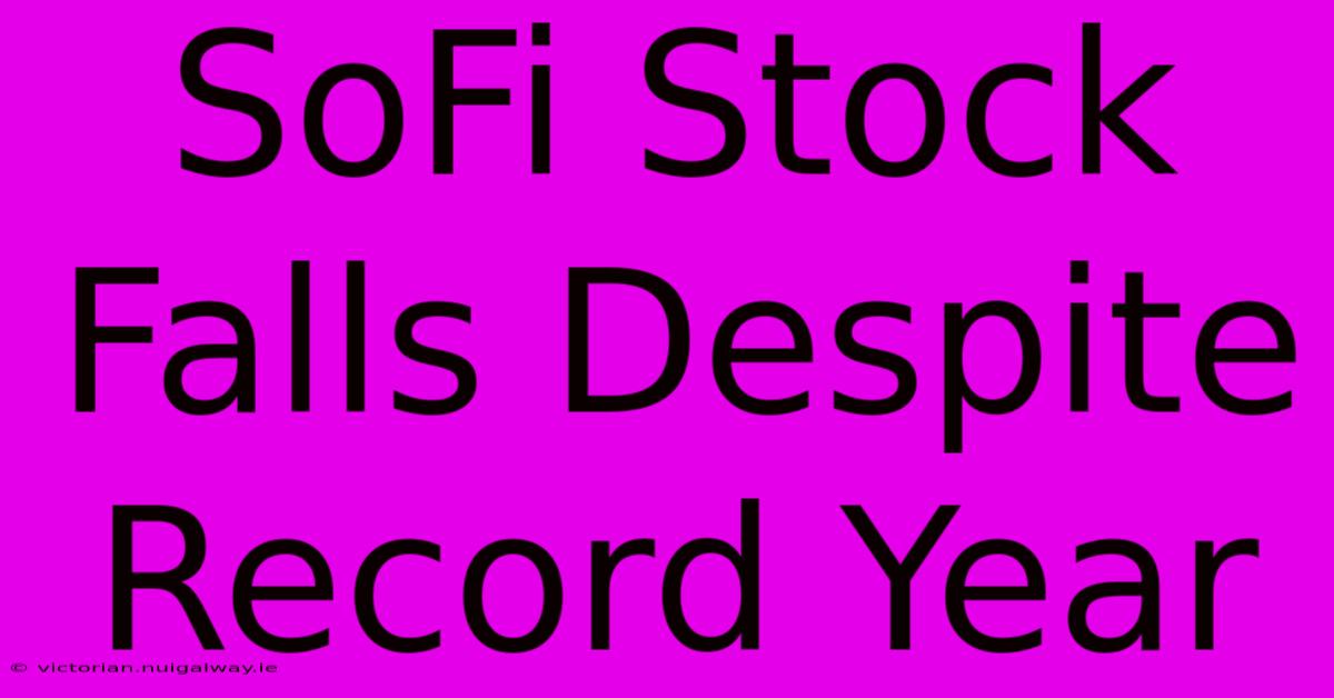 SoFi Stock Falls Despite Record Year