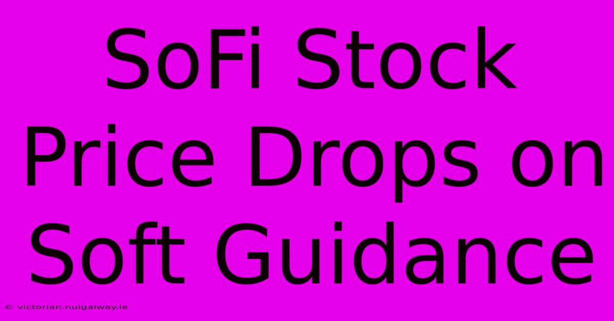 SoFi Stock Price Drops On Soft Guidance