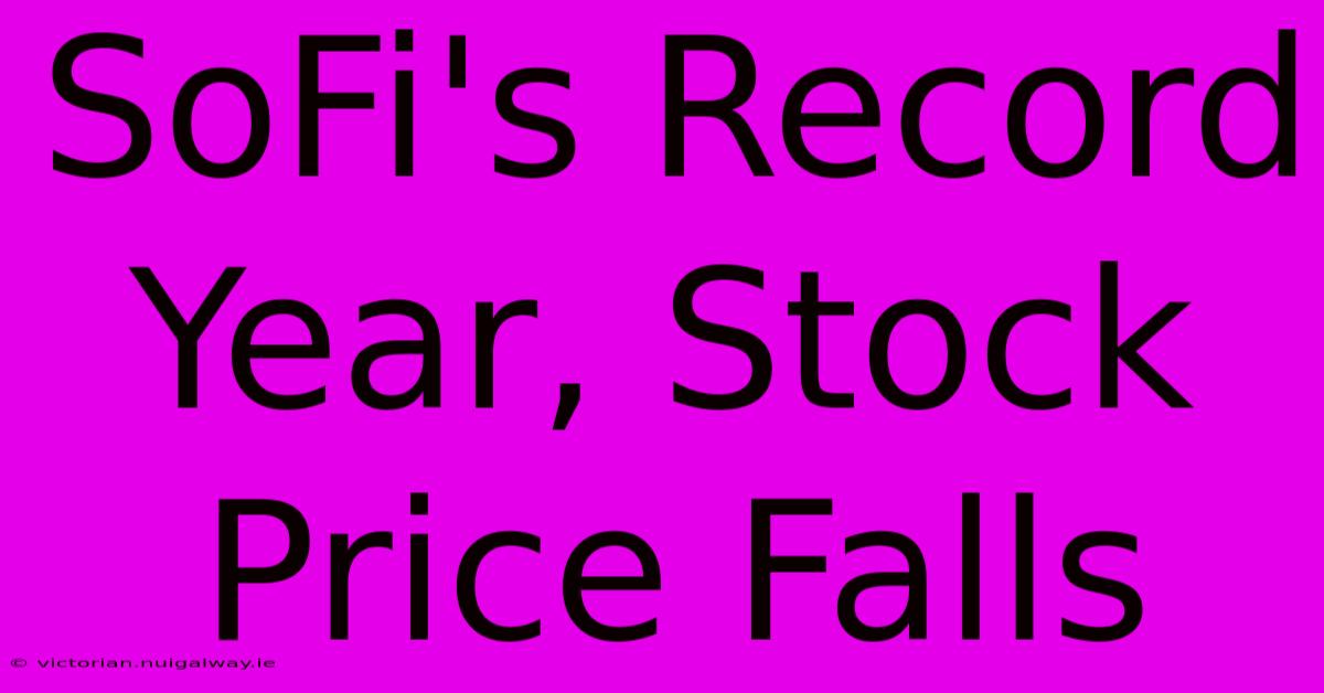 SoFi's Record Year, Stock Price Falls