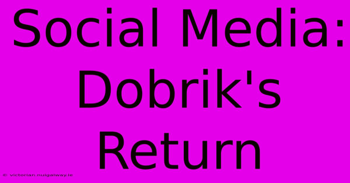 Social Media: Dobrik's Return