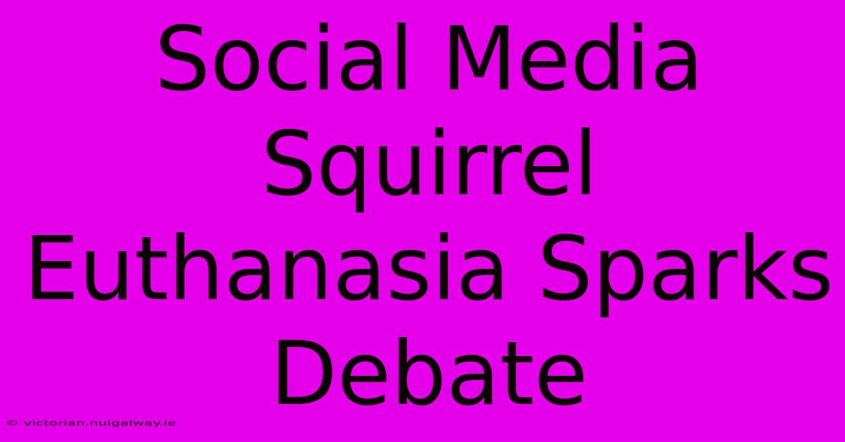 Social Media Squirrel Euthanasia Sparks Debate