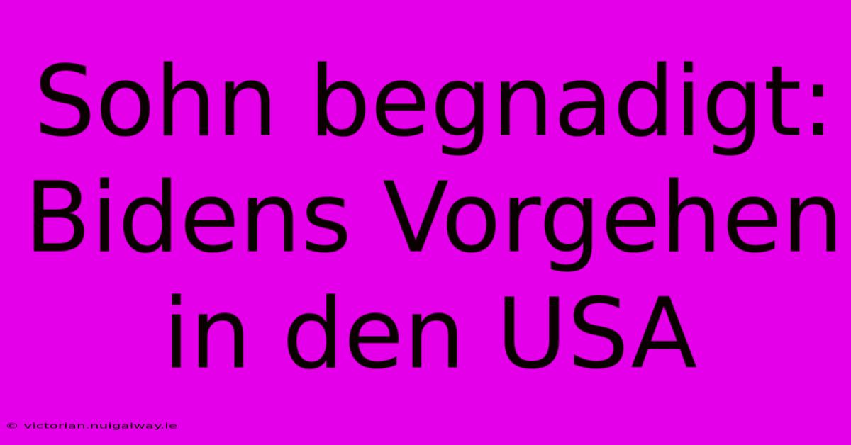 Sohn Begnadigt: Bidens Vorgehen In Den USA