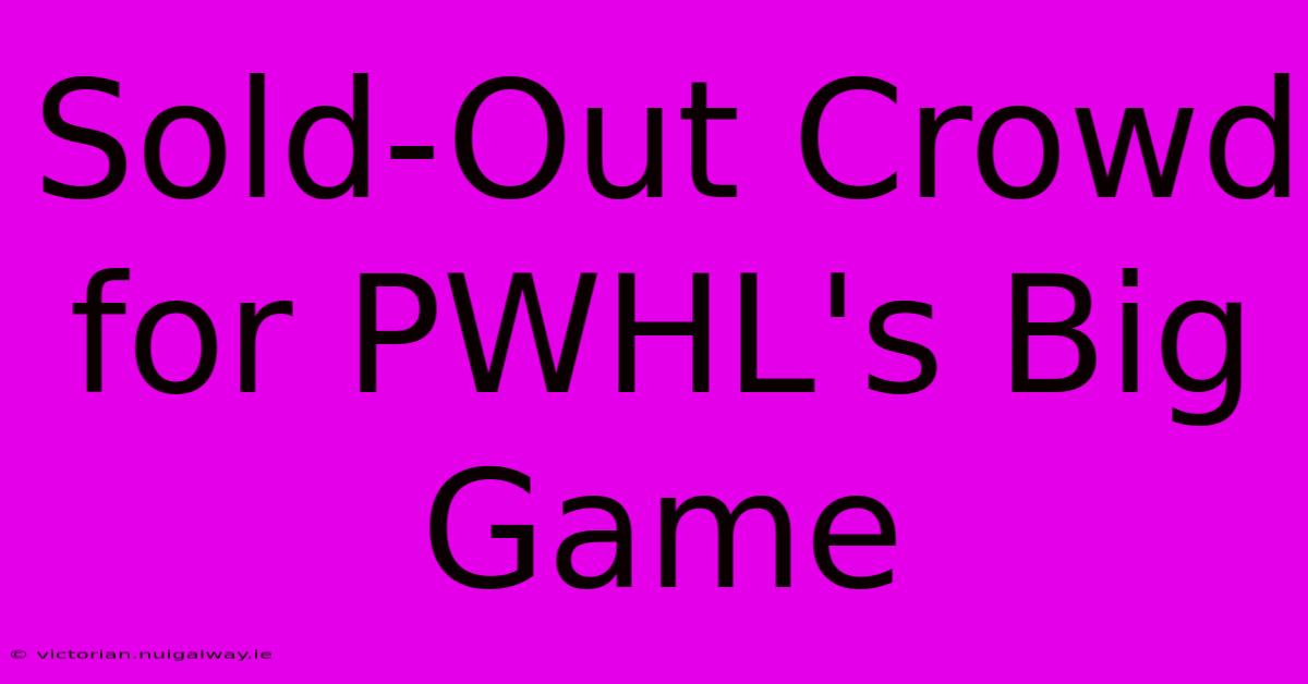 Sold-Out Crowd For PWHL's Big Game