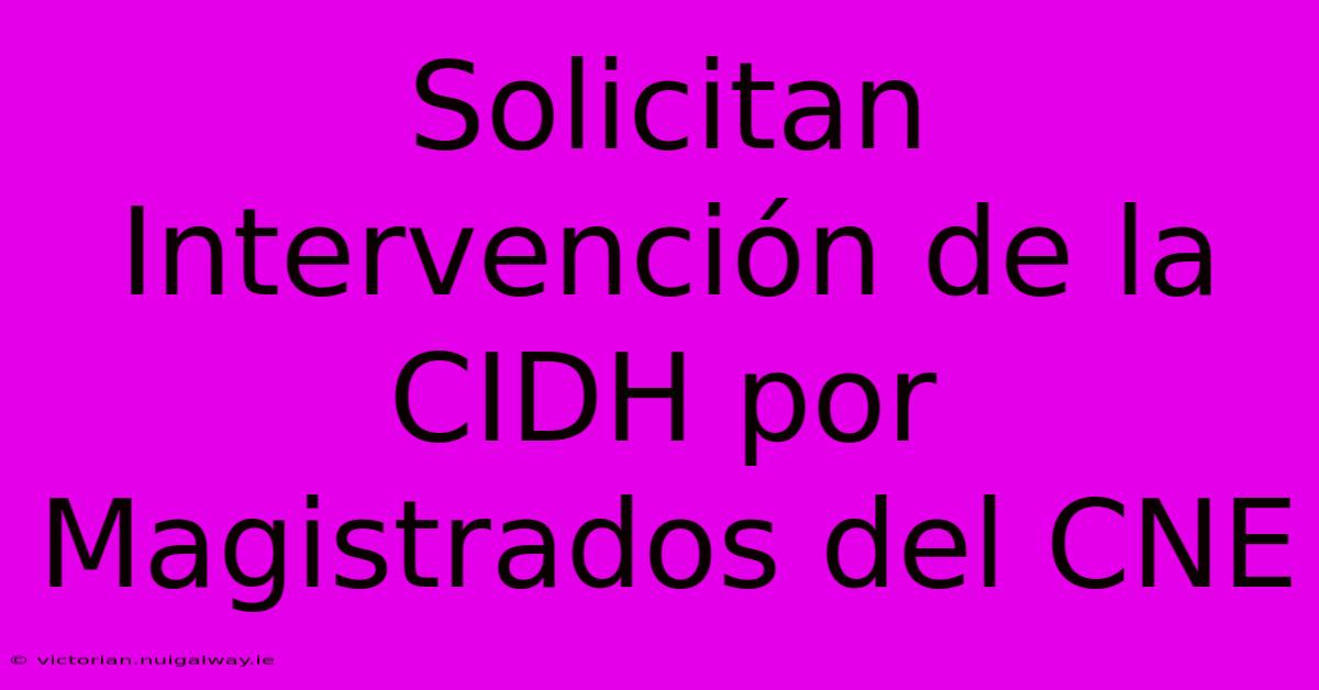 Solicitan Intervención De La CIDH Por Magistrados Del CNE