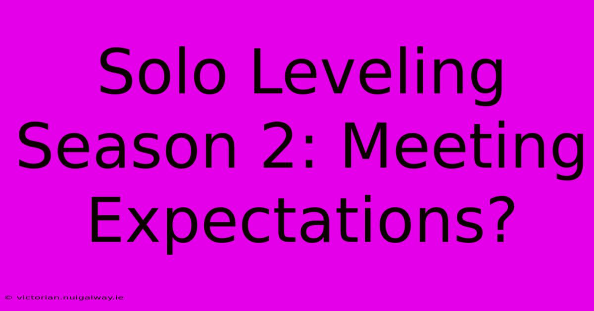 Solo Leveling Season 2: Meeting Expectations?