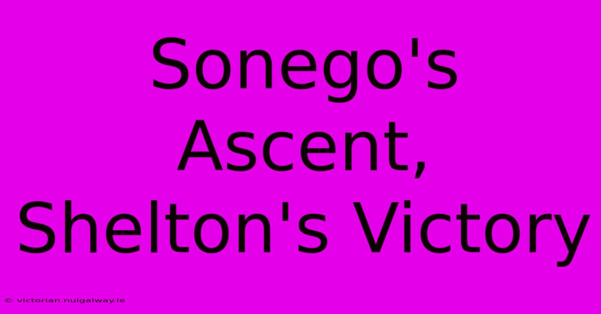 Sonego's Ascent, Shelton's Victory