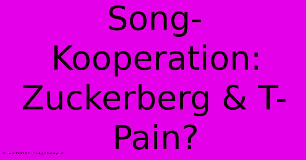 Song-Kooperation: Zuckerberg & T-Pain?