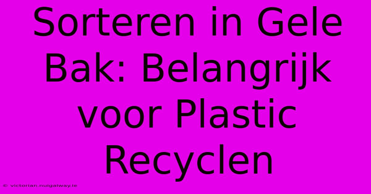 Sorteren In Gele Bak: Belangrijk Voor Plastic Recyclen