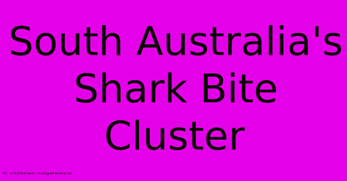 South Australia's Shark Bite Cluster