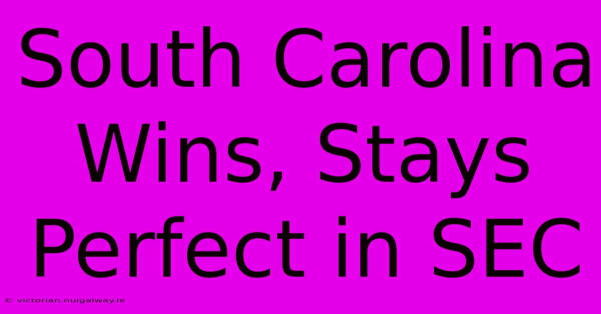 South Carolina Wins, Stays Perfect In SEC