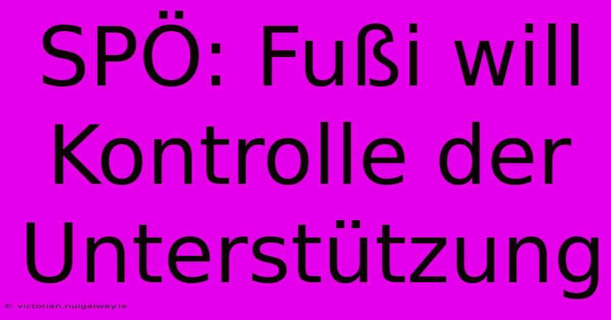 SPÖ: Fußi Will Kontrolle Der Unterstützung