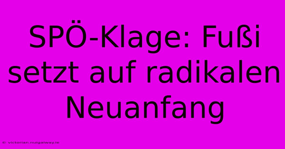 SPÖ-Klage: Fußi Setzt Auf Radikalen Neuanfang 