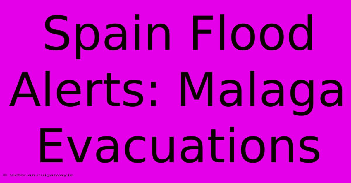 Spain Flood Alerts: Malaga Evacuations 