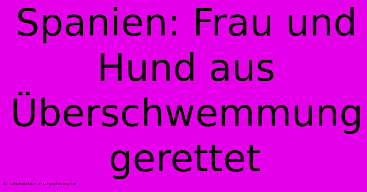 Spanien: Frau Und Hund Aus Überschwemmung Gerettet