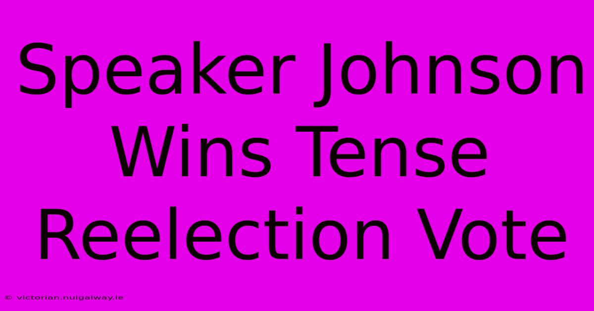 Speaker Johnson Wins Tense Reelection Vote