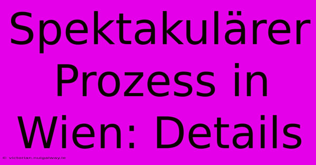 Spektakulärer Prozess In Wien: Details