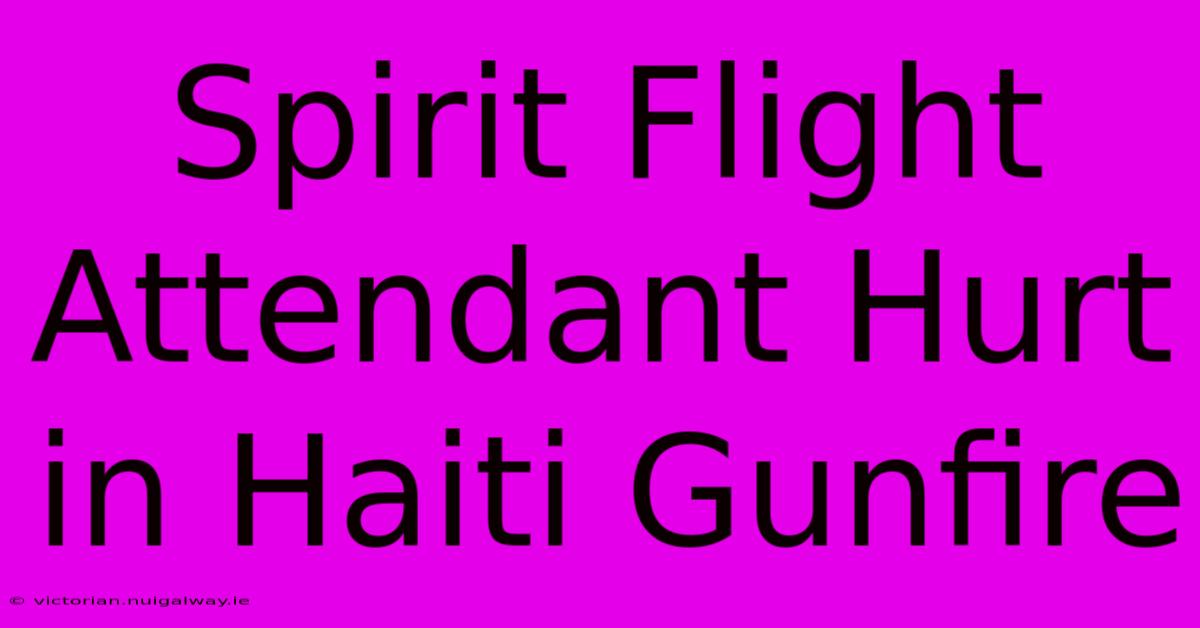 Spirit Flight Attendant Hurt In Haiti Gunfire