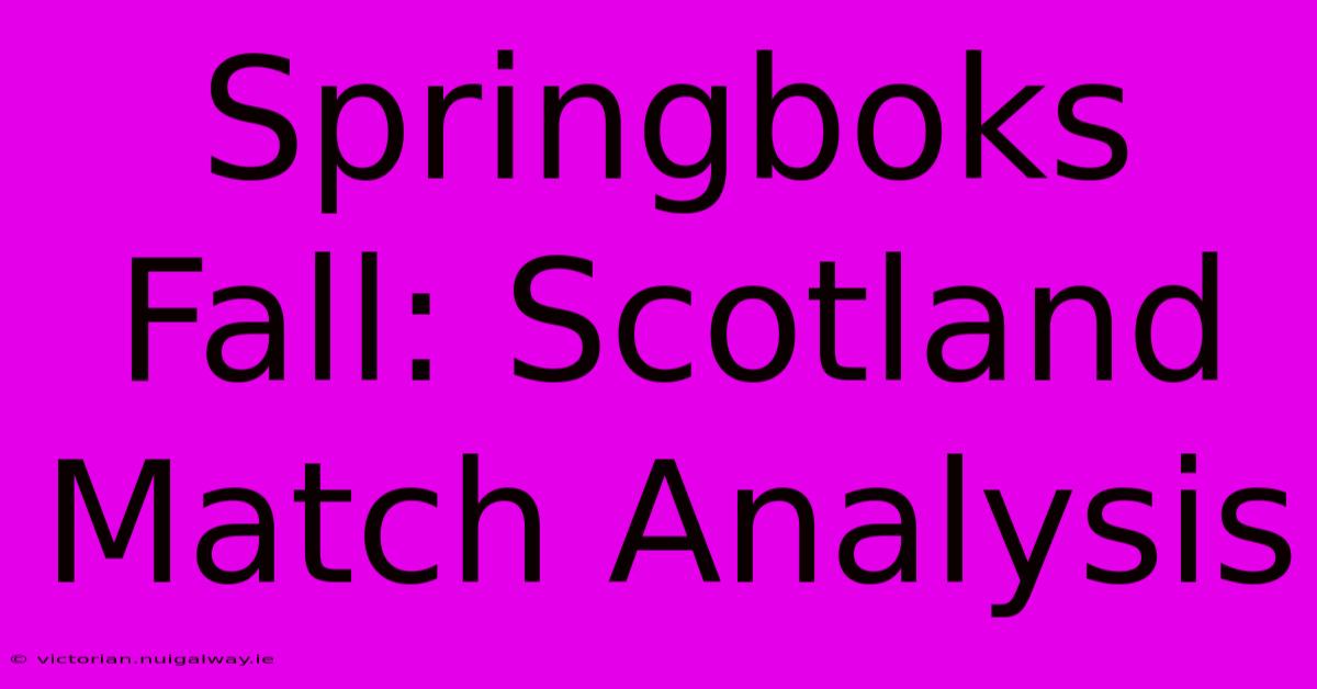 Springboks Fall: Scotland Match Analysis 