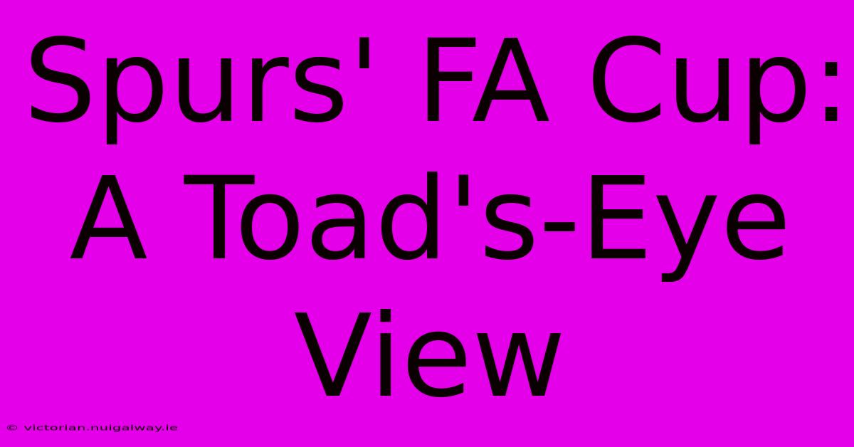 Spurs' FA Cup: A Toad's-Eye View