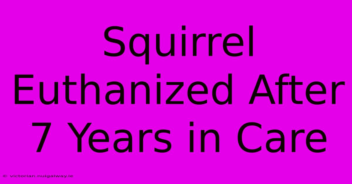 Squirrel Euthanized After 7 Years In Care