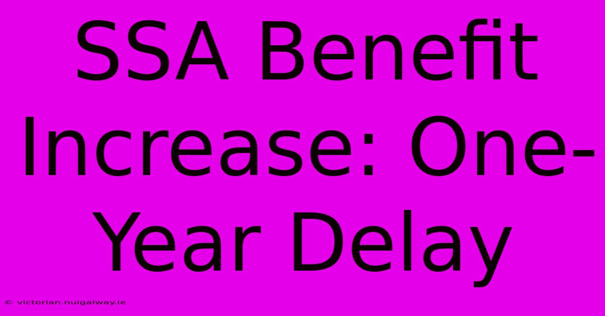 SSA Benefit Increase: One-Year Delay