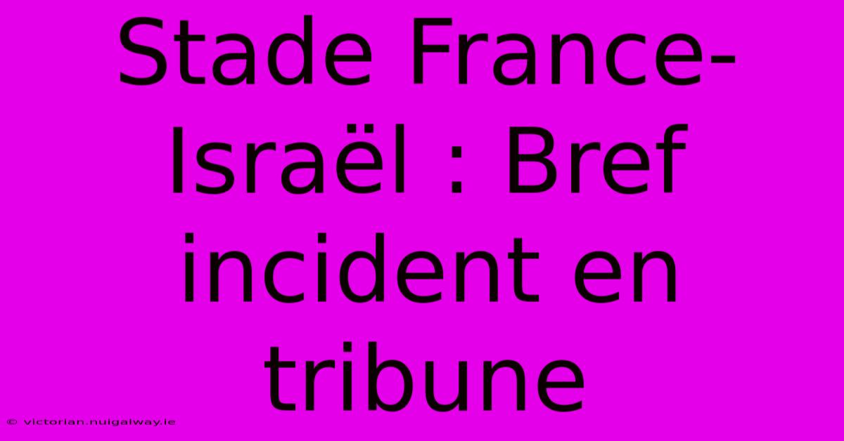 Stade France-Israël : Bref Incident En Tribune 