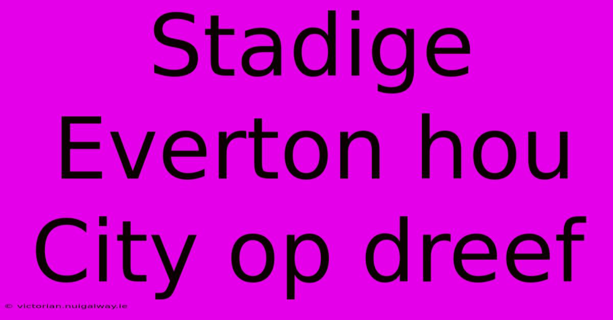 Stadige Everton Hou City Op Dreef