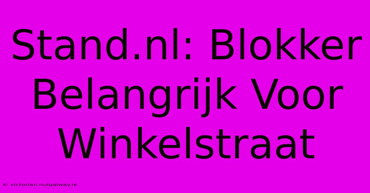 Stand.nl: Blokker Belangrijk Voor Winkelstraat