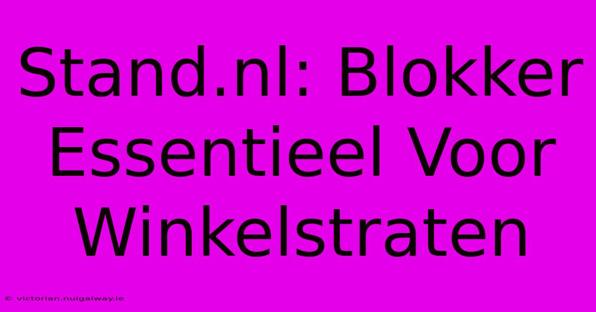 Stand.nl: Blokker Essentieel Voor Winkelstraten