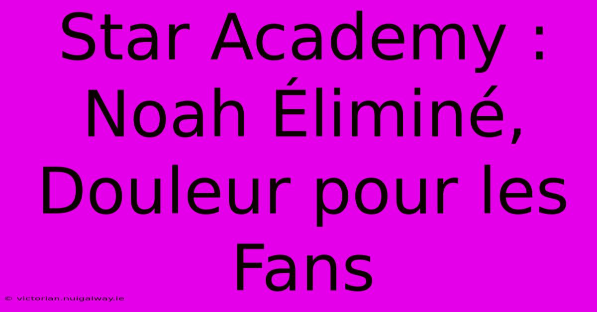 Star Academy : Noah Éliminé, Douleur Pour Les Fans