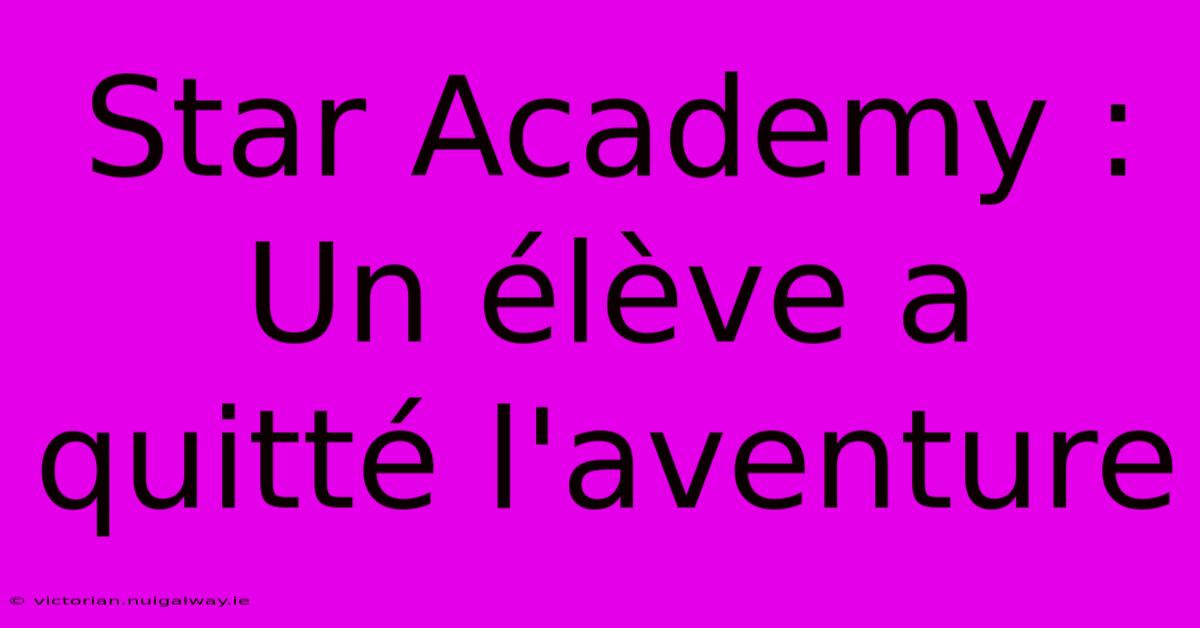 Star Academy : Un Élève A Quitté L'aventure 