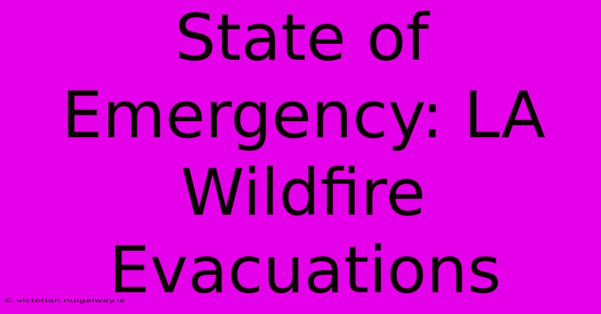 State Of Emergency: LA Wildfire Evacuations