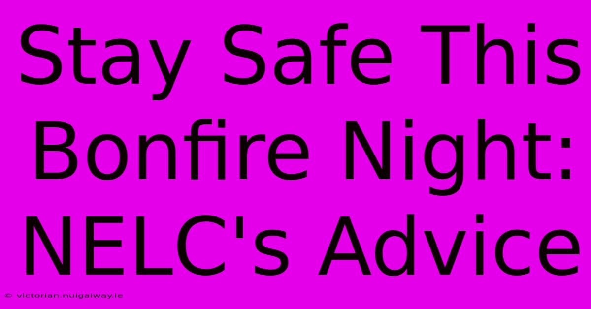 Stay Safe This Bonfire Night: NELC's Advice