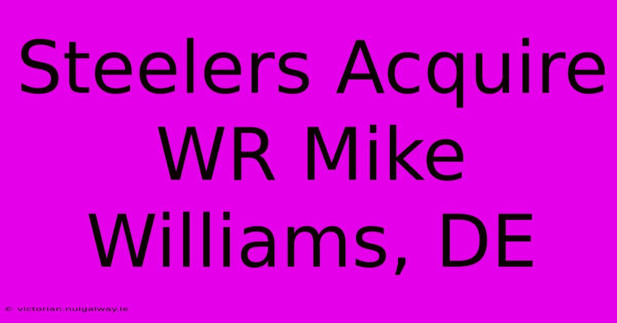 Steelers Acquire WR Mike Williams, DE