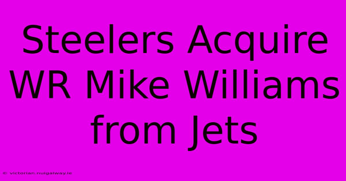 Steelers Acquire WR Mike Williams From Jets