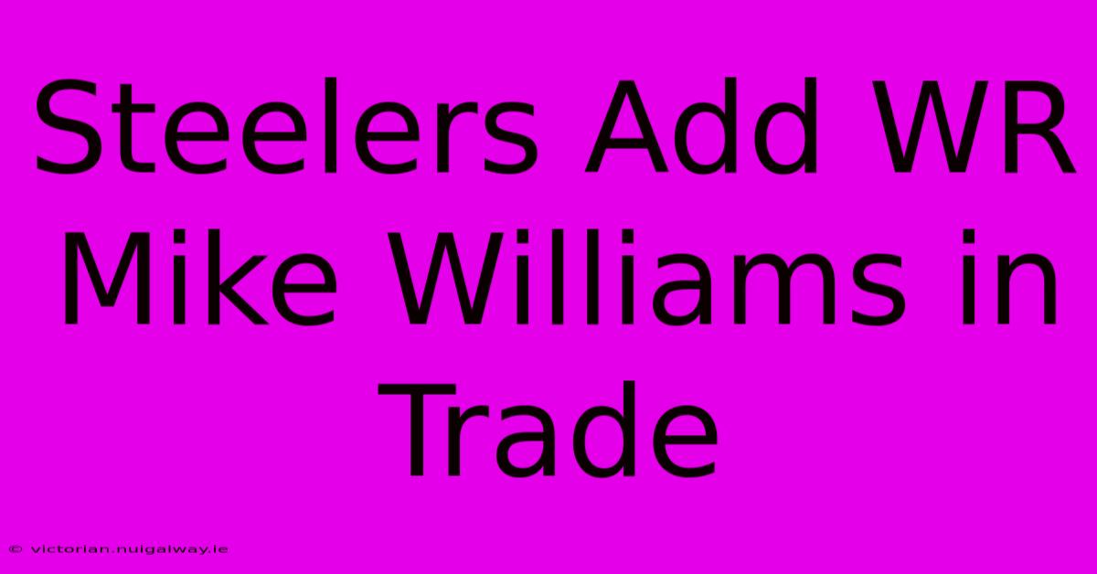 Steelers Add WR Mike Williams In Trade 