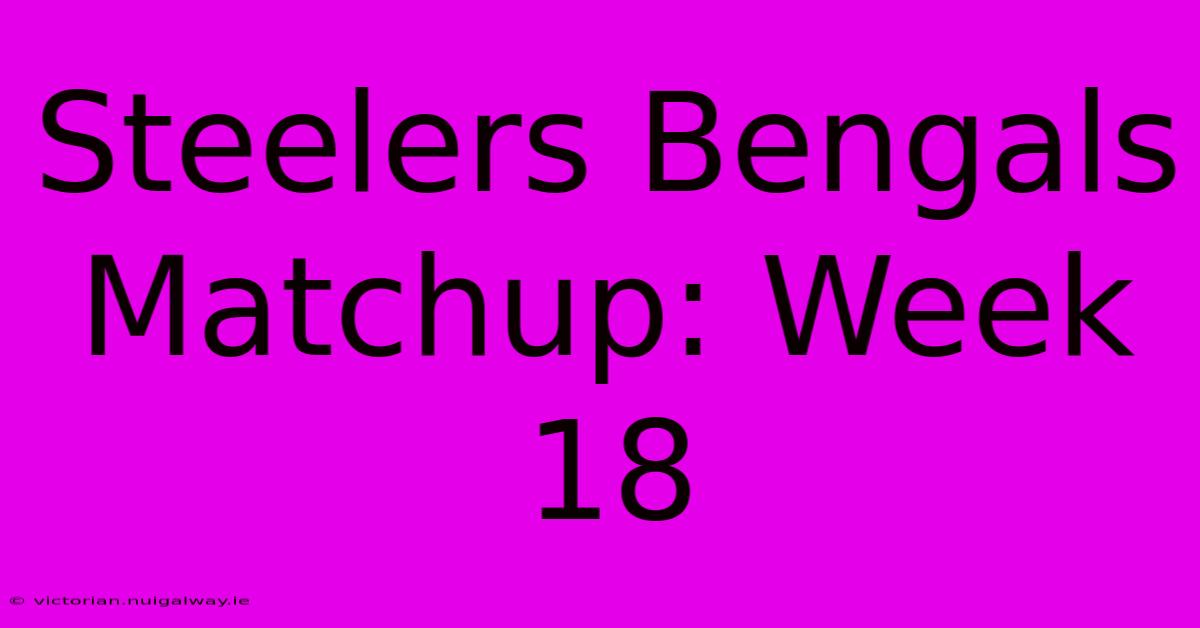 Steelers Bengals Matchup: Week 18