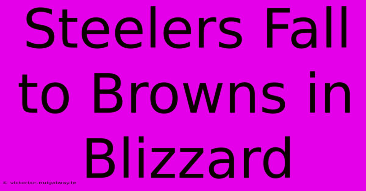 Steelers Fall To Browns In Blizzard